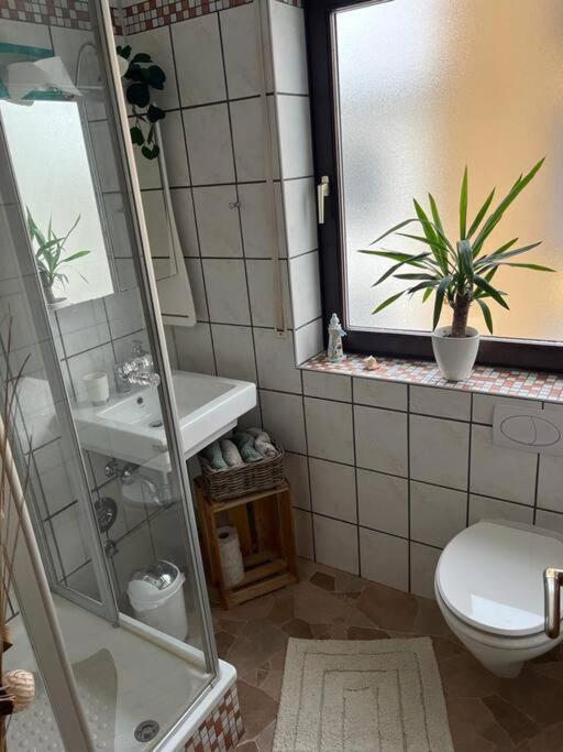 2-Zimmer Wohnung 80Qm Bis 4Pers. 빈닌겐 외부 사진